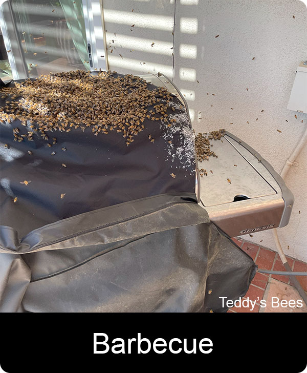 Picture of a teddys Beekeeper removing a hive from a barbecue. nav link image