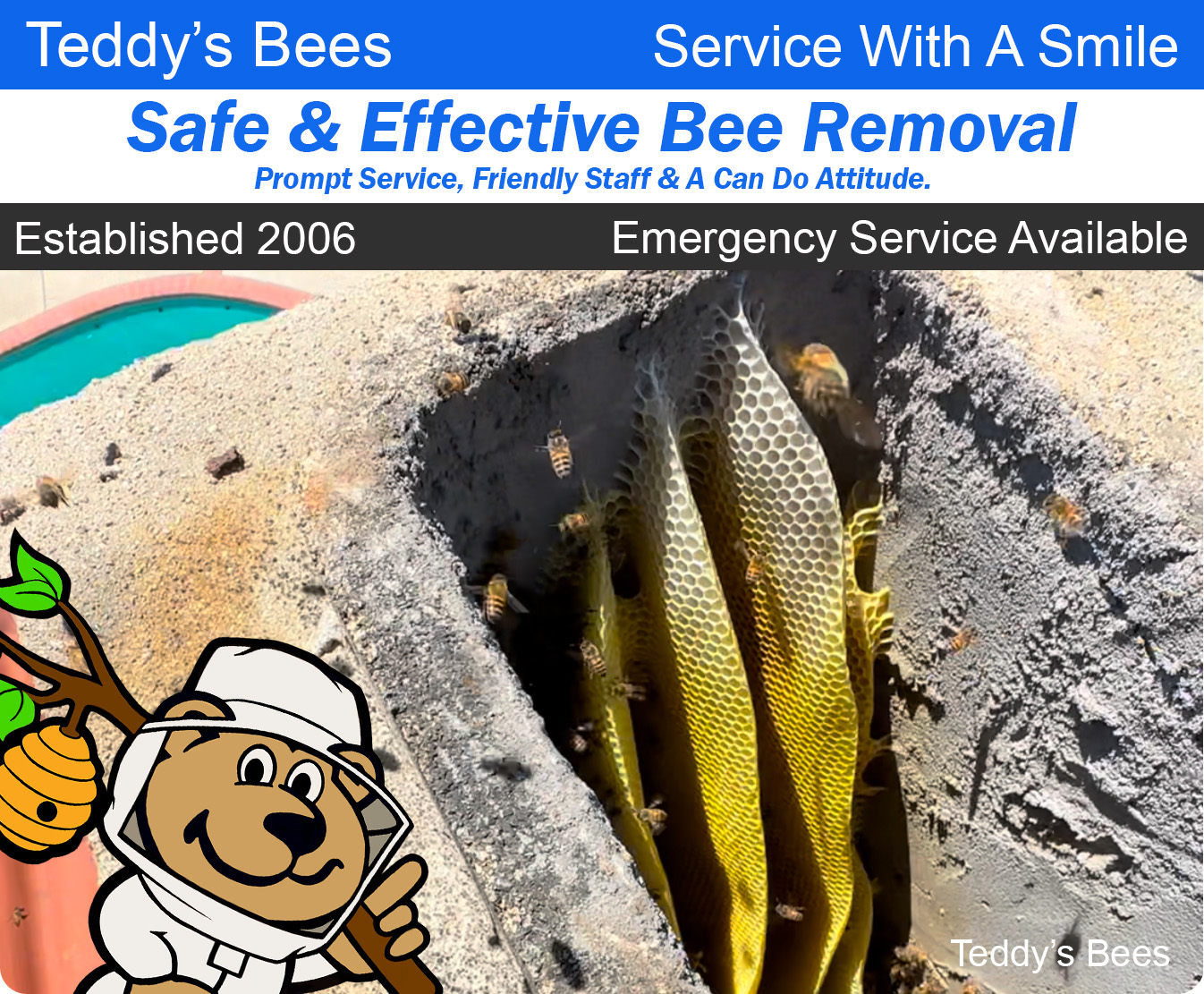 picture of teddys bee removal workers removing a bee hive from the top of a brick chimney. nav link image