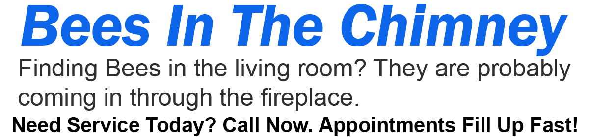 Teddys Bee Removal company logo with text asking if you need bee removal from your chimney? Call now. Appointments fill up fast