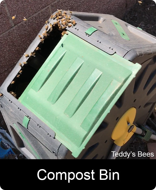 picture of a live bee removal from a composting bin
. nav image