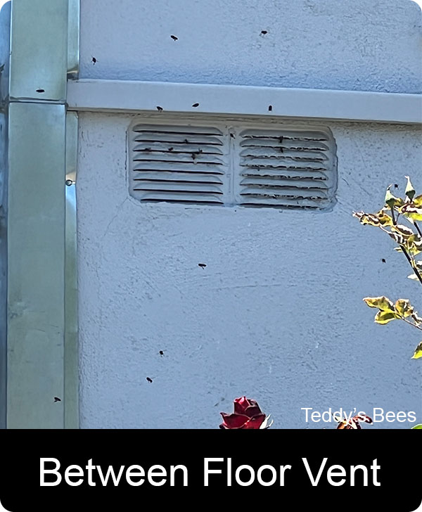 Picture of bees getting into the floor vent of a home. We had to perform a structural bee removal. nav link image