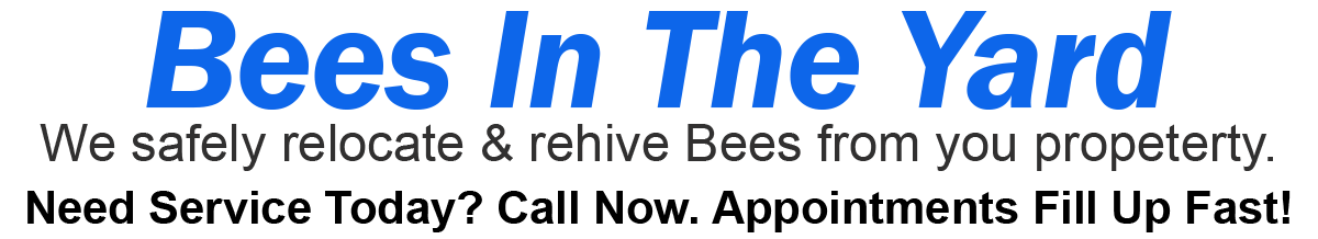 Teddys Bee Removal company logo with text that says, Live Bee Removal. Bees in your Yard? Need service today? Call now. Appointments fill up fast